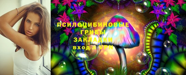 тгк Алзамай