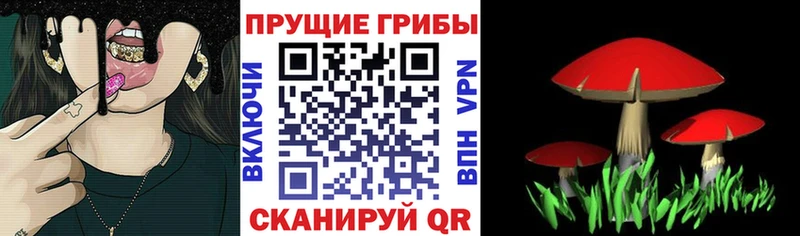 Псилоцибиновые грибы MAGIC MUSHROOMS  как найти наркотики  Неман 